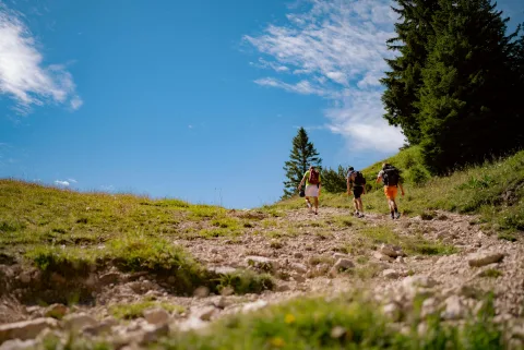 Mental Health and the Outdoors
