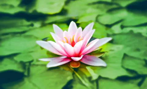 How To Use Meditation to Connect with Your Subconscious Mind