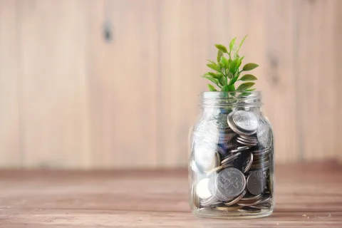 A Cash or Deferred 401(k) Plan: Exploring Options