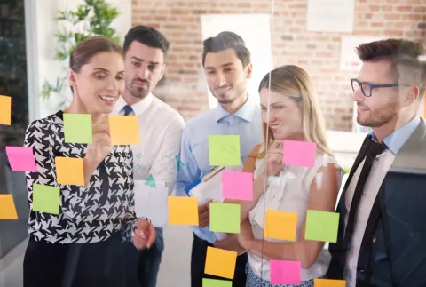 Evolving Organizations