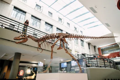 Buffalo Museum of Science